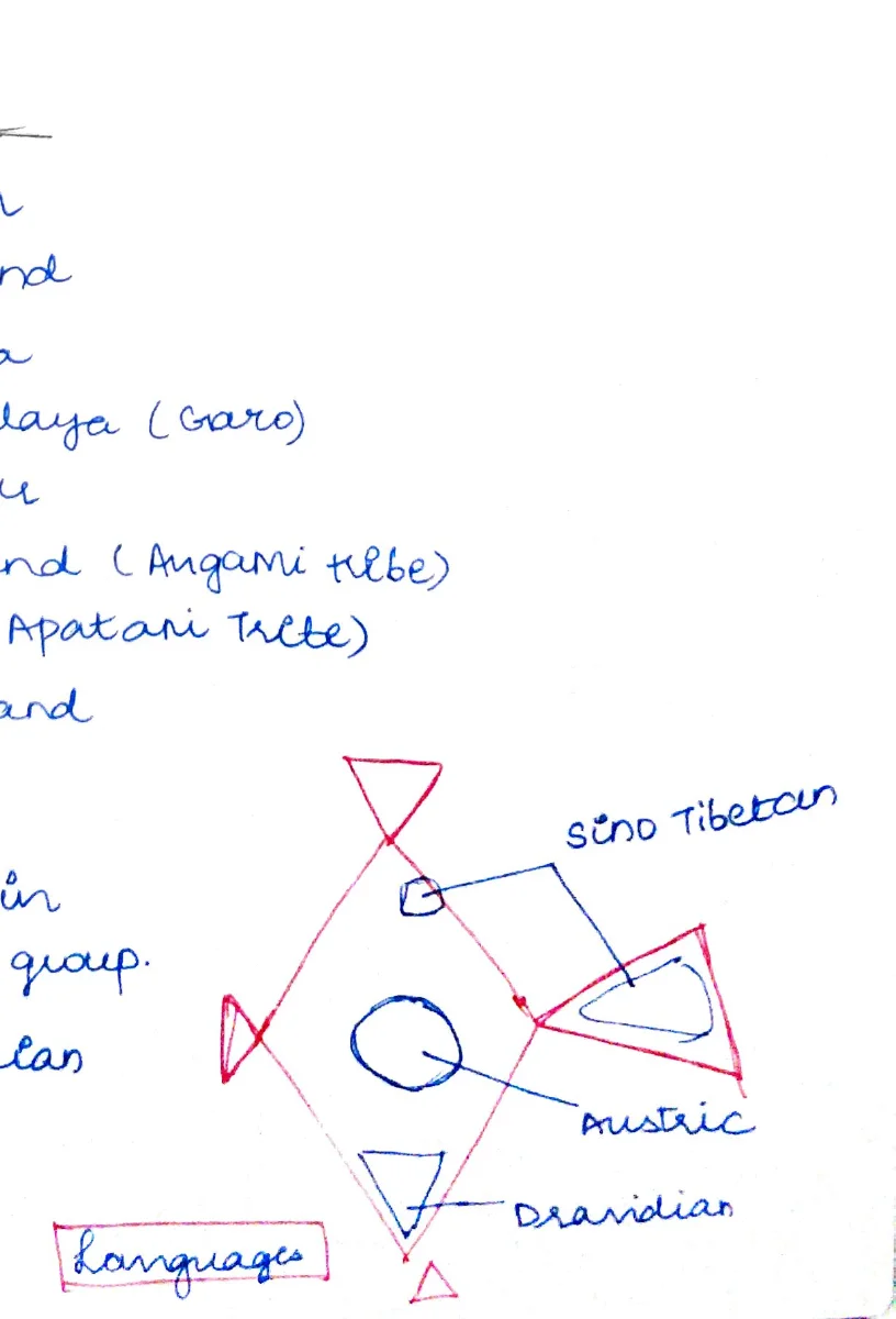 Language family diagram — Sino-Tibetan, Austric, Dravidian, Indo-Iranian