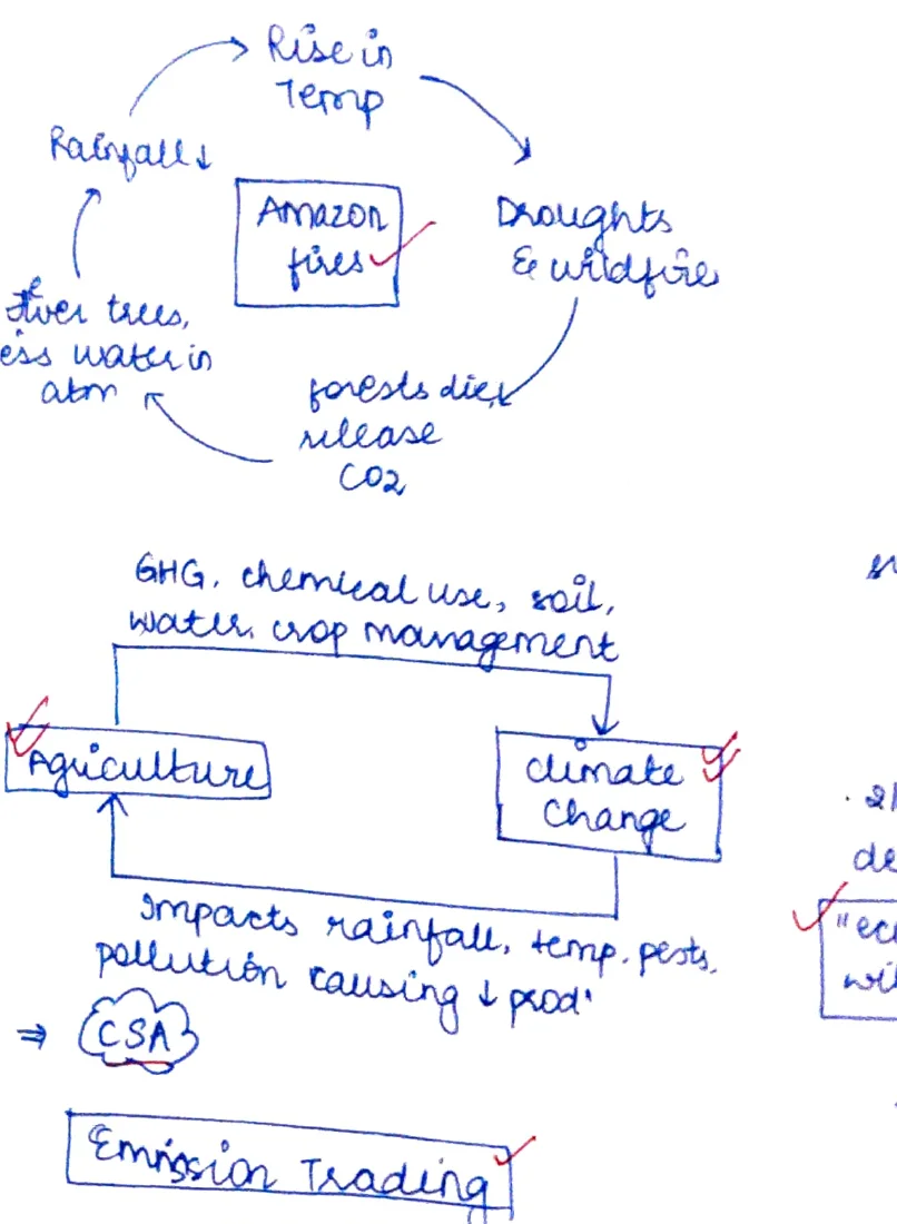 Cycle diagram: Rise in temp → Amazon fires / Drought &amp; wildfire → forests release CO₂ → more water in atm → Rise in temp [loop]; GHG, chemical use, soil, water, crop management → Agriculture ↔ Climate Change → impacts rainfall, temp, pests, pollution causing ↓ prod