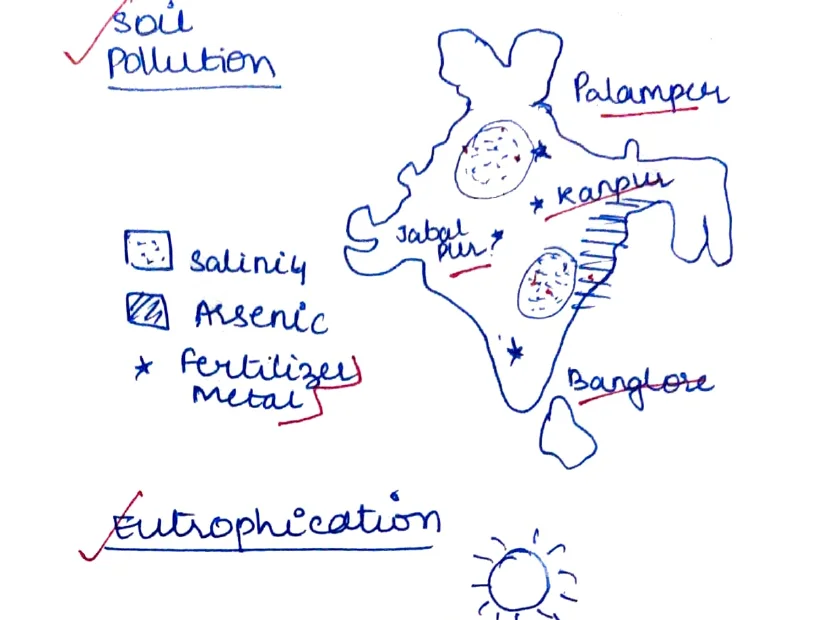 Eutrophication cycle: excess nutrients → algal bloom → decomposition → O₂ depletion → plant growth → back to nutrients