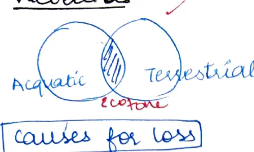 Wetlands Venn diagram — Aquatic / Terrestrial / Marine types
