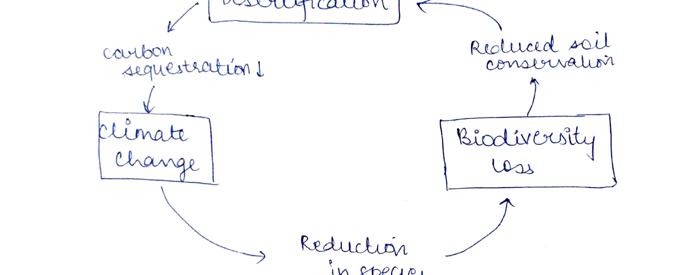 Desertification cycle diagram