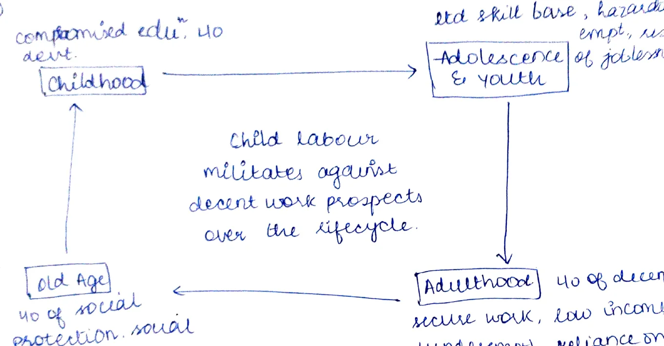 Child labour lifecycle diagram