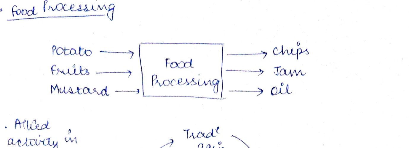 Food processing value addition diagram