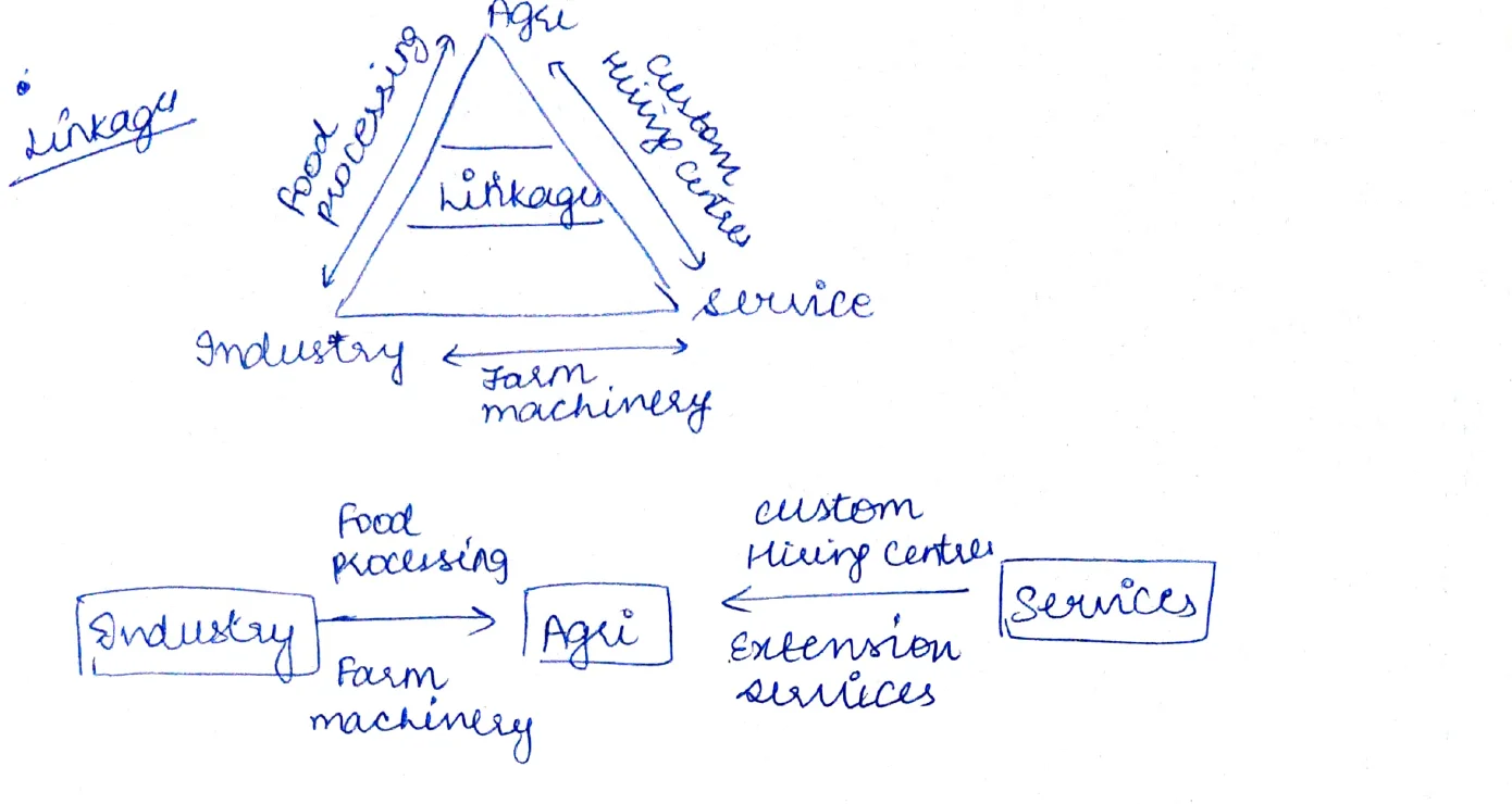 Agri industry service linkages triangle