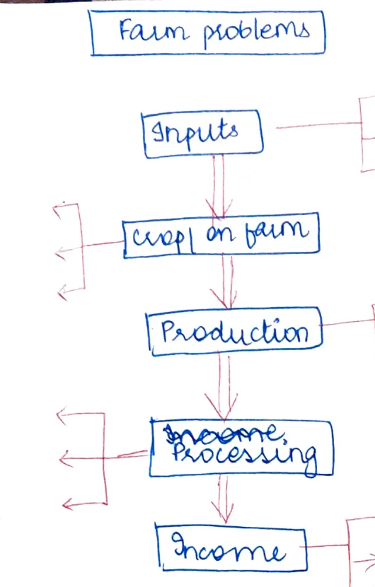 Farm Problems flowchart: Inputs → Crop on Farm → Production → Income/Processing → Income (with backward red arrows indicating problem linkages at each stage)