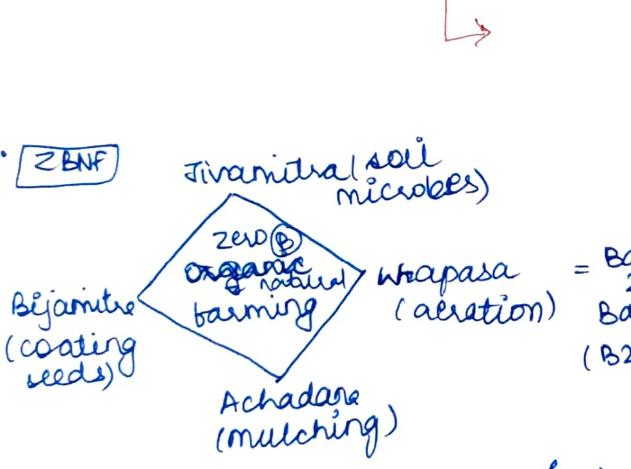 ZBNF diamond diagram: Jivamruta (soil microbes) at top, Bijamitra (coating seeds) at left, Achadare/Mulching at bottom, Whapasa (aeration) at right — diamond shape labelled Zero Organic Natural Farming