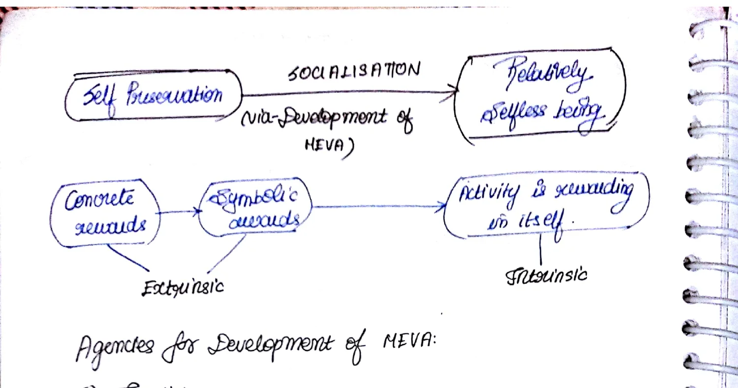 Diagram: Self Preservation → (via Development of MEVA / Socialisation) → Relatively Selfless Being; Concrete rewards → Symbolic rewards (Extrinsic); → Activity is rewarding in itself (Intrinsic)