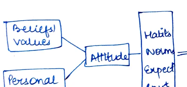 Linear chain: Beliefs/Values → Attitude (Habits/Norm/Expect/Env boxes) → Behaviour